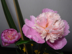 DSC05819.JPG