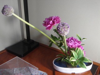DSC06869.JPG