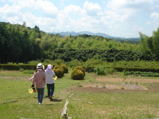 DSC07371.JPG